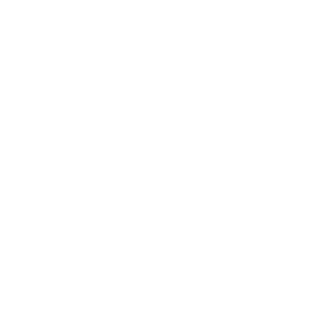 MIBR Esports Logo
